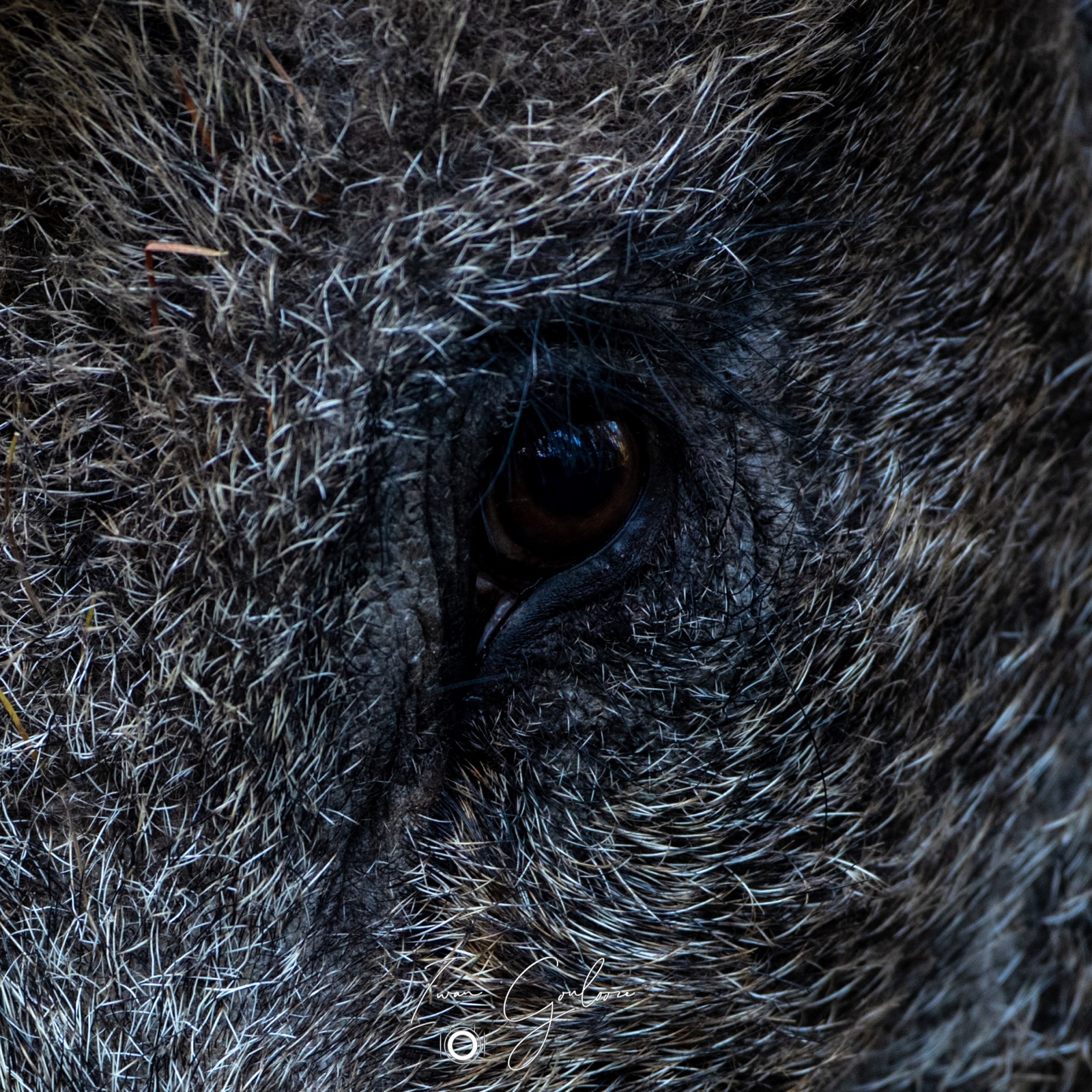 08 mei 2022 181012 1DX42886 2